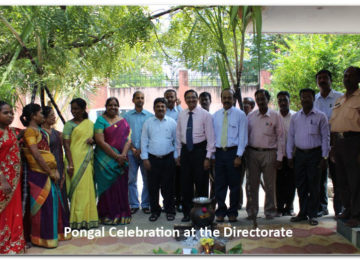 Pongal Celebration at the Directorate