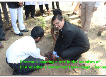 Director Planting sapling in the premises of Dr.Ambedkar Government Law College, Chennai